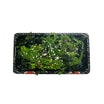Seaweed Salad (Wakame)